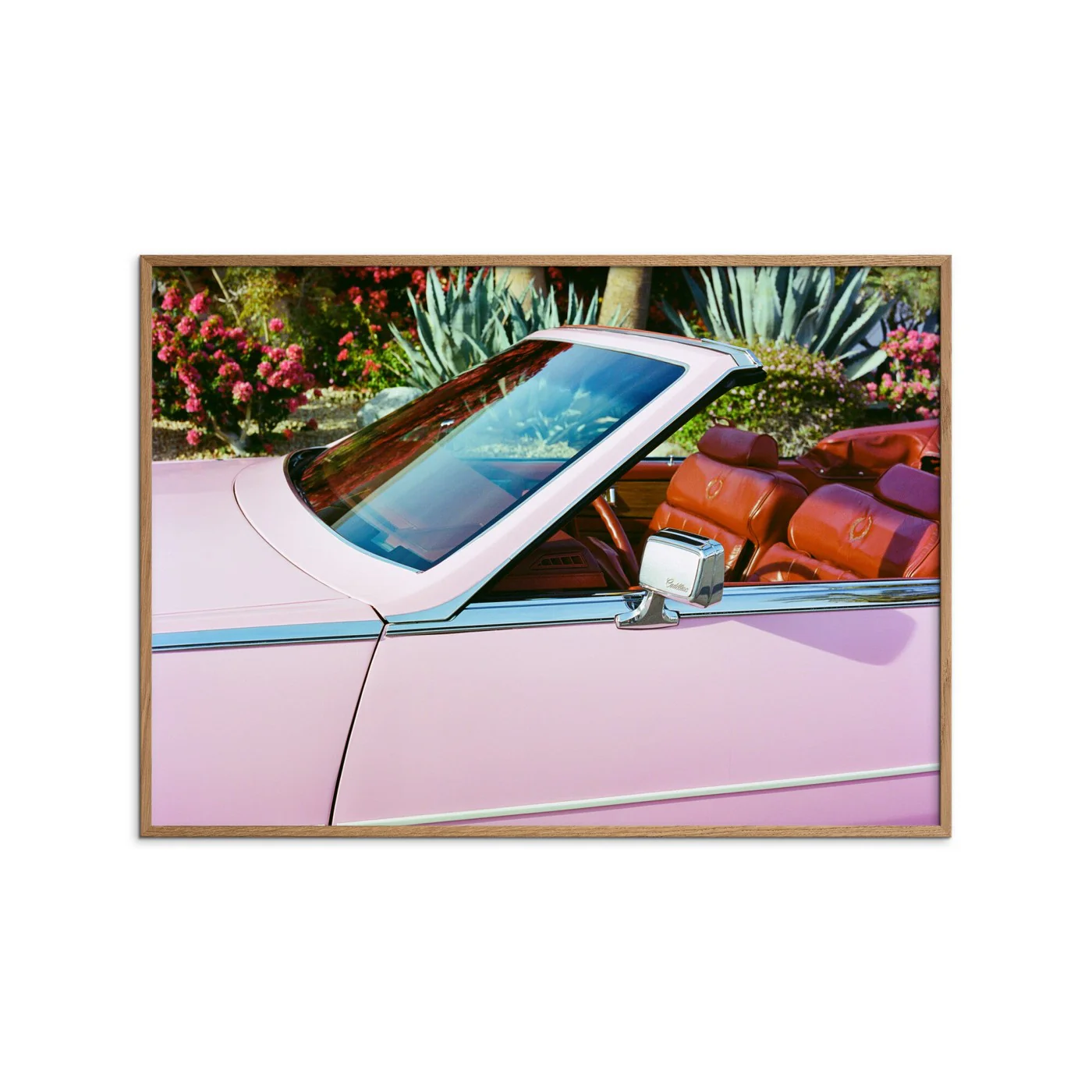 Bethany Young - Palm Springs Ride Iv - Image 2