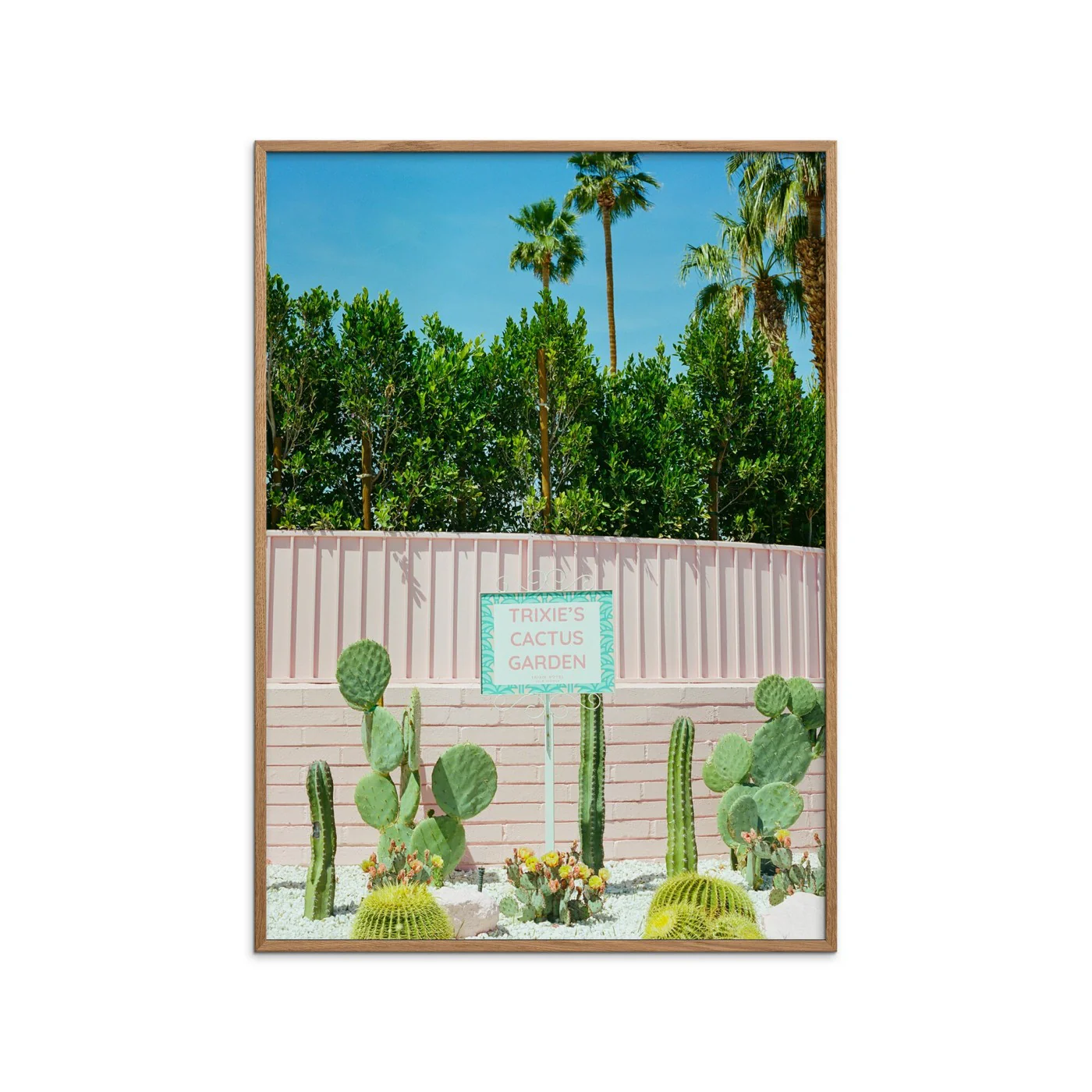 Bethany Young - Pink Cactus Garden - Image 2