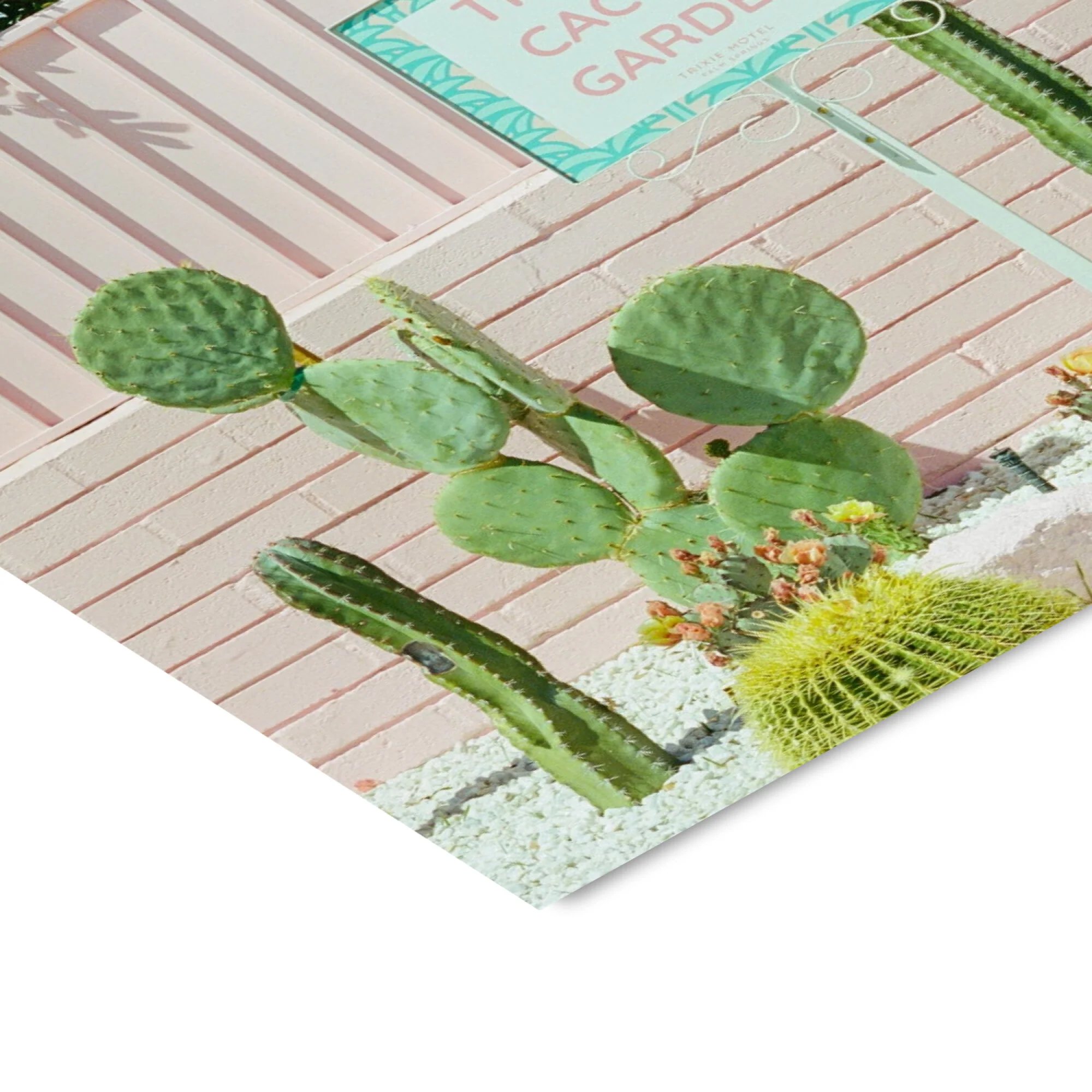 Bethany Young - Pink Cactus Garden - Image 4