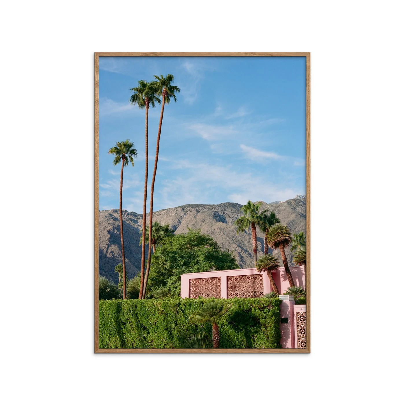 Bethany Young - Pink Resort Palms - Image 2