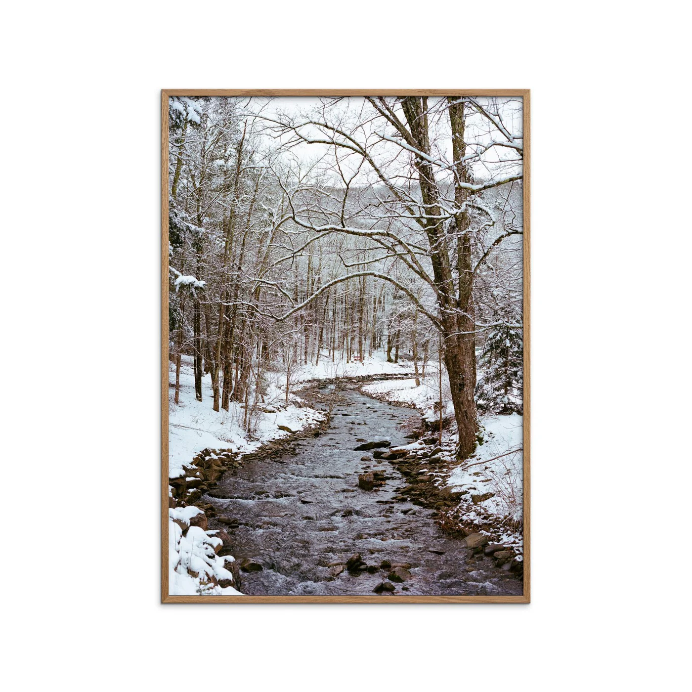 Bethany Young - Upstate New York Snow Xii - Image 2