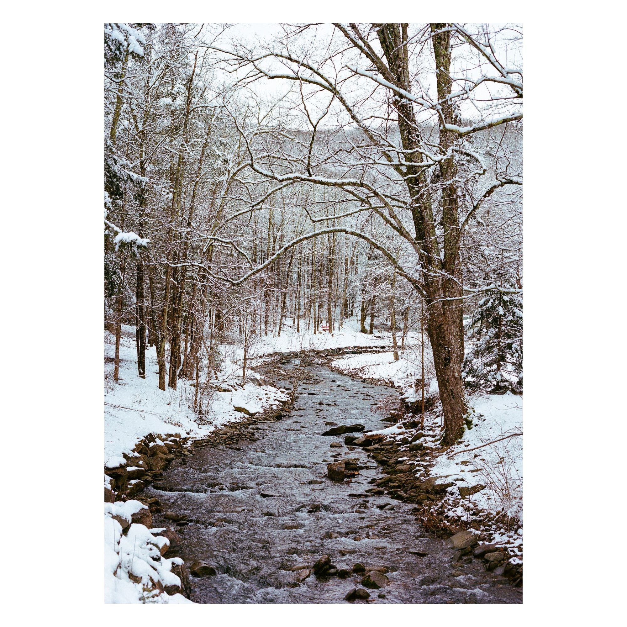 Bethany Young - Upstate New York Snow Xii - Image 3