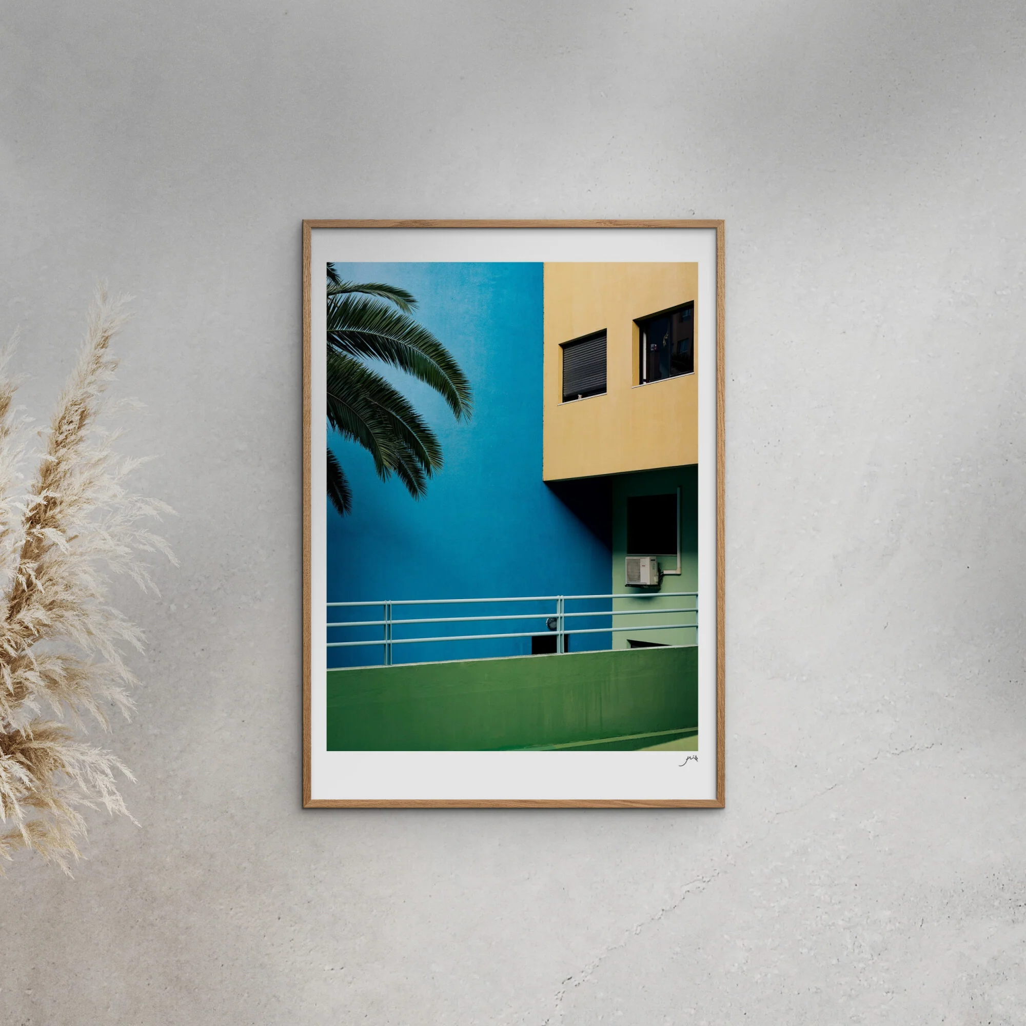 Flip - Olaias - Image 5