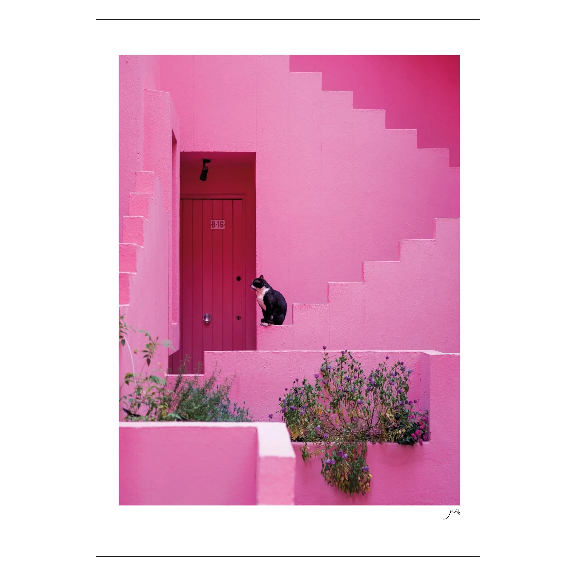 Flip - Pink Panther - Image 3