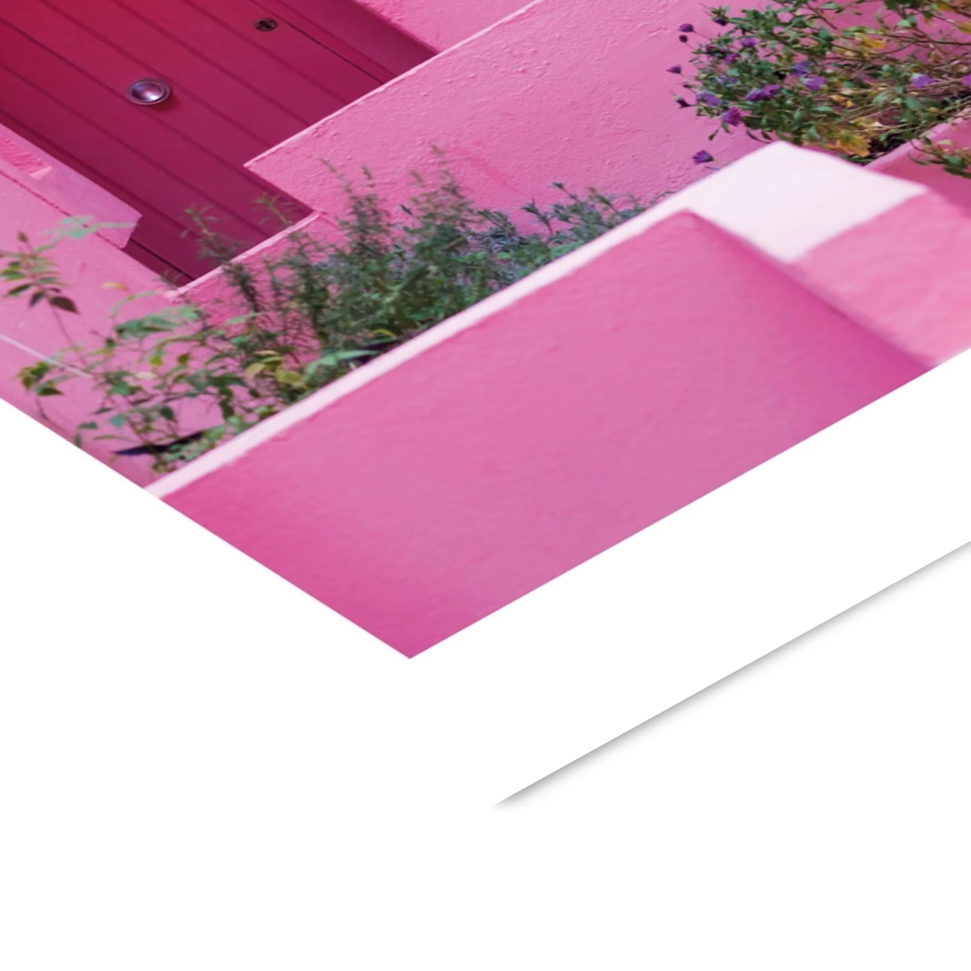 Flip - Pink Panther - Image 4