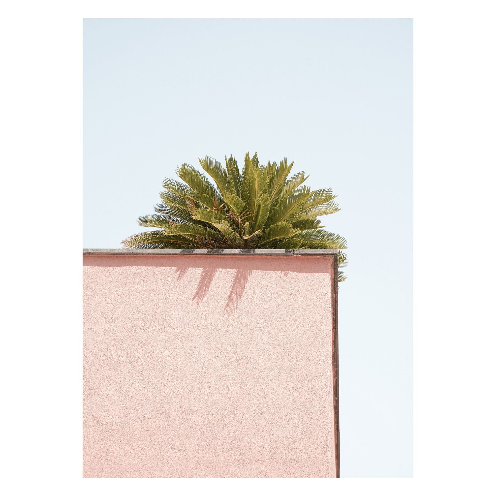 Henrike Schenk - Tropical Pink Corner - Image 2