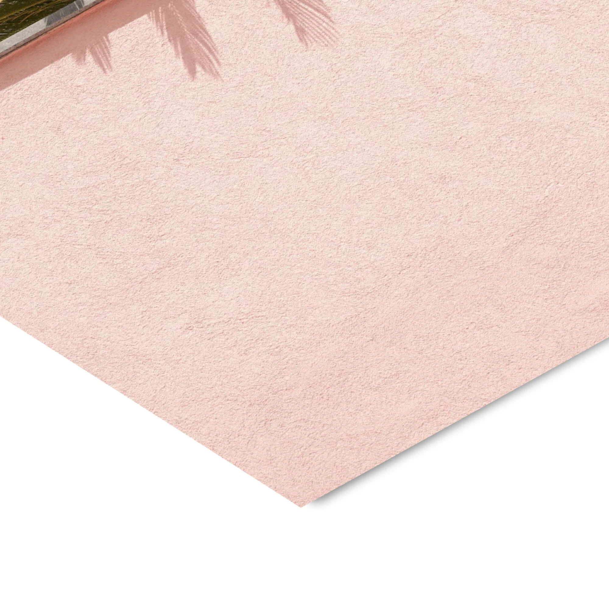Henrike Schenk - Tropical Pink Corner - Image 3