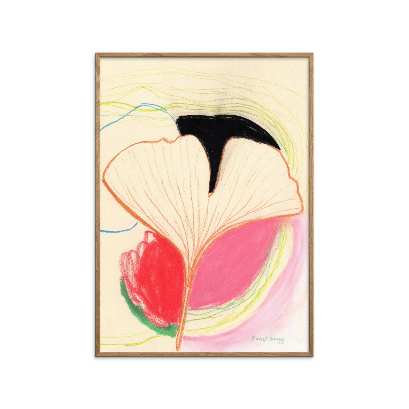 Janel Bragg - Ginkgo Leaves In Color Ii - Image 2