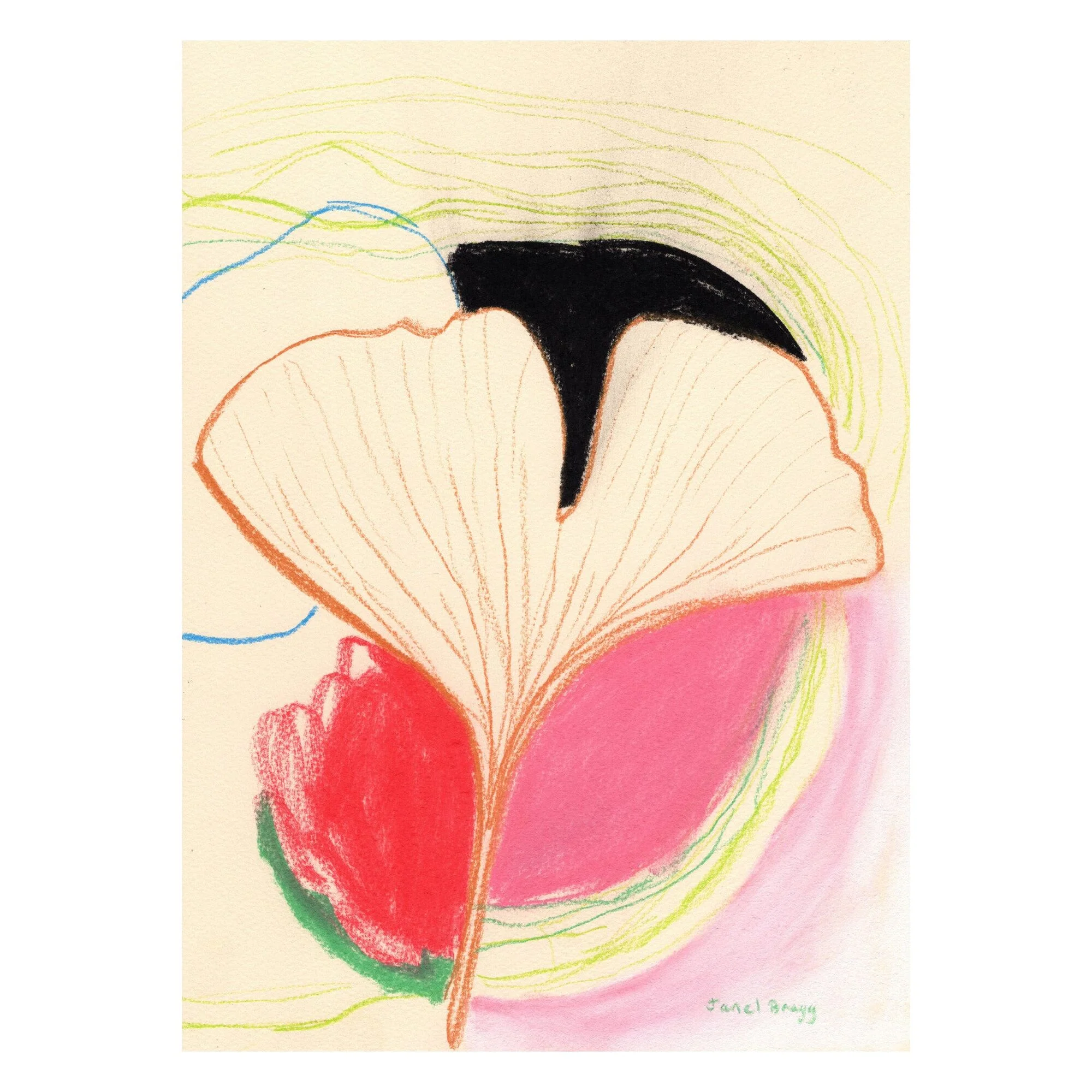 Janel Bragg - Ginkgo Leaves In Color Ii - Image 3