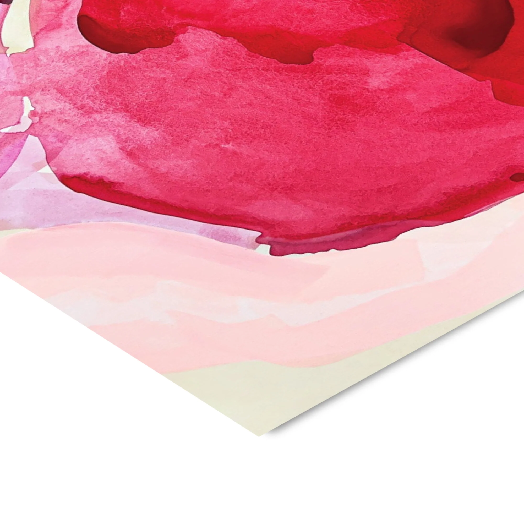 Moglea - Bloom - Image 4