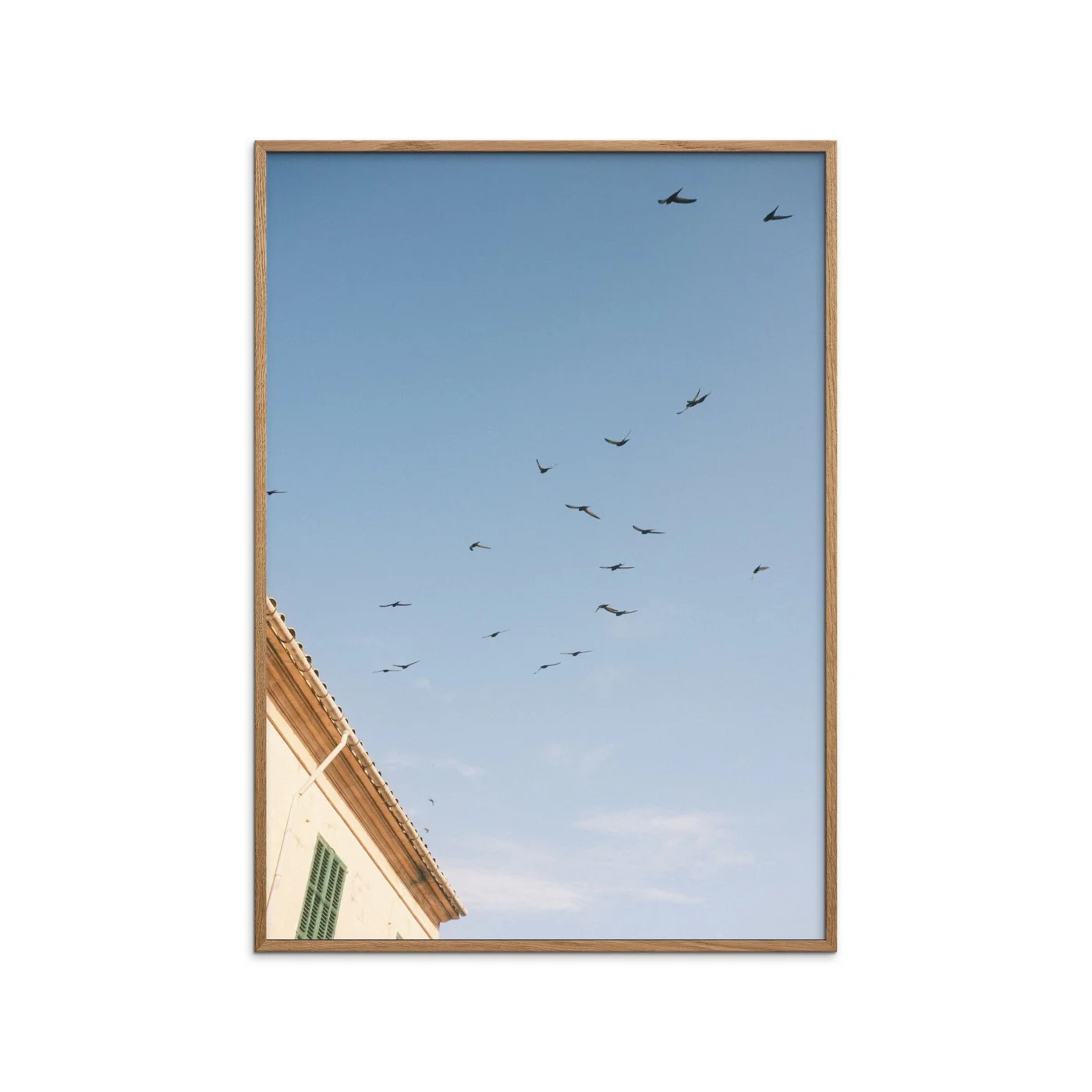 Outofalexcam - Looking Up In Santanyí - Image 3