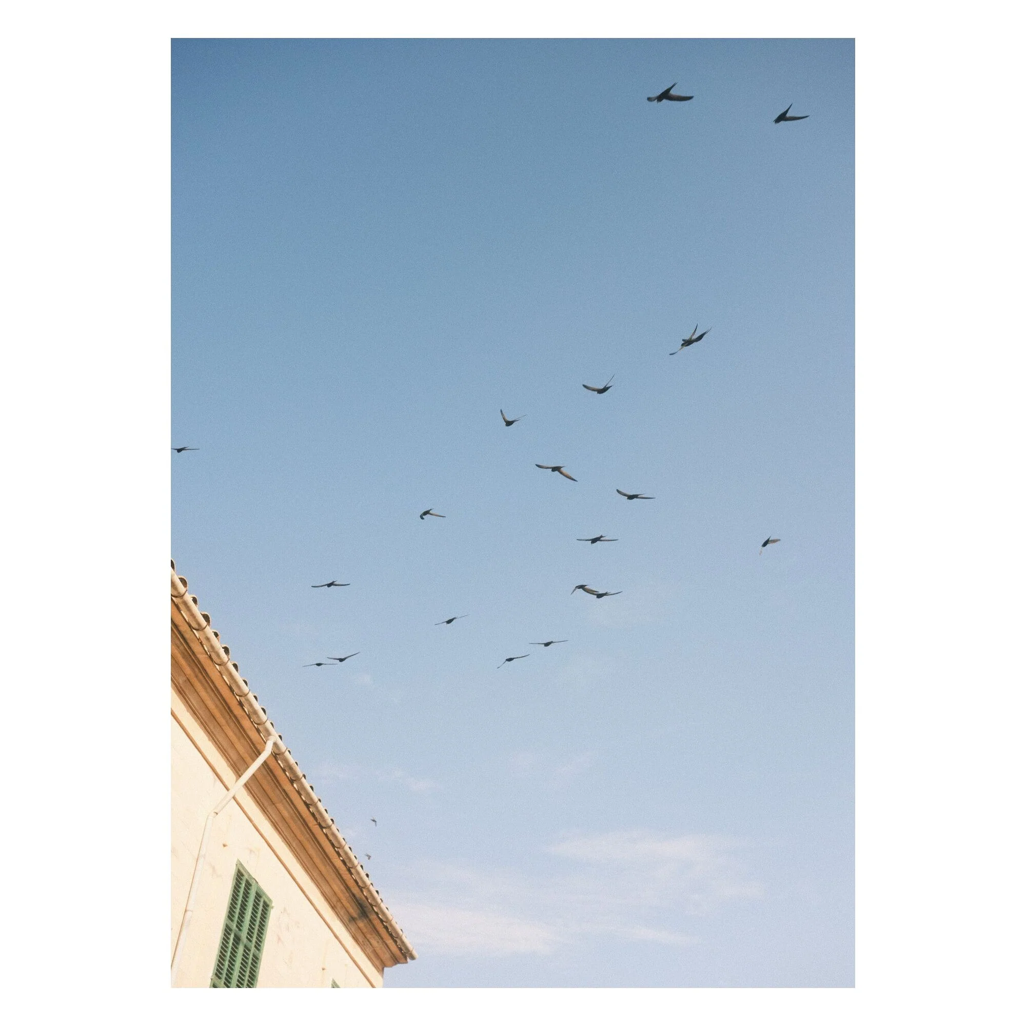 Outofalexcam - Looking Up In Santanyí - Image 4
