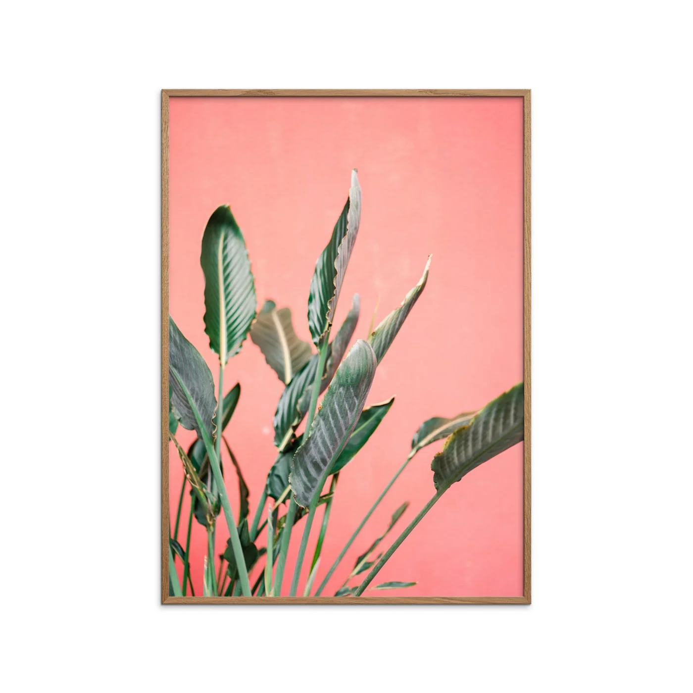 Raisa Zwart - South Of Spain 7 - Image 2