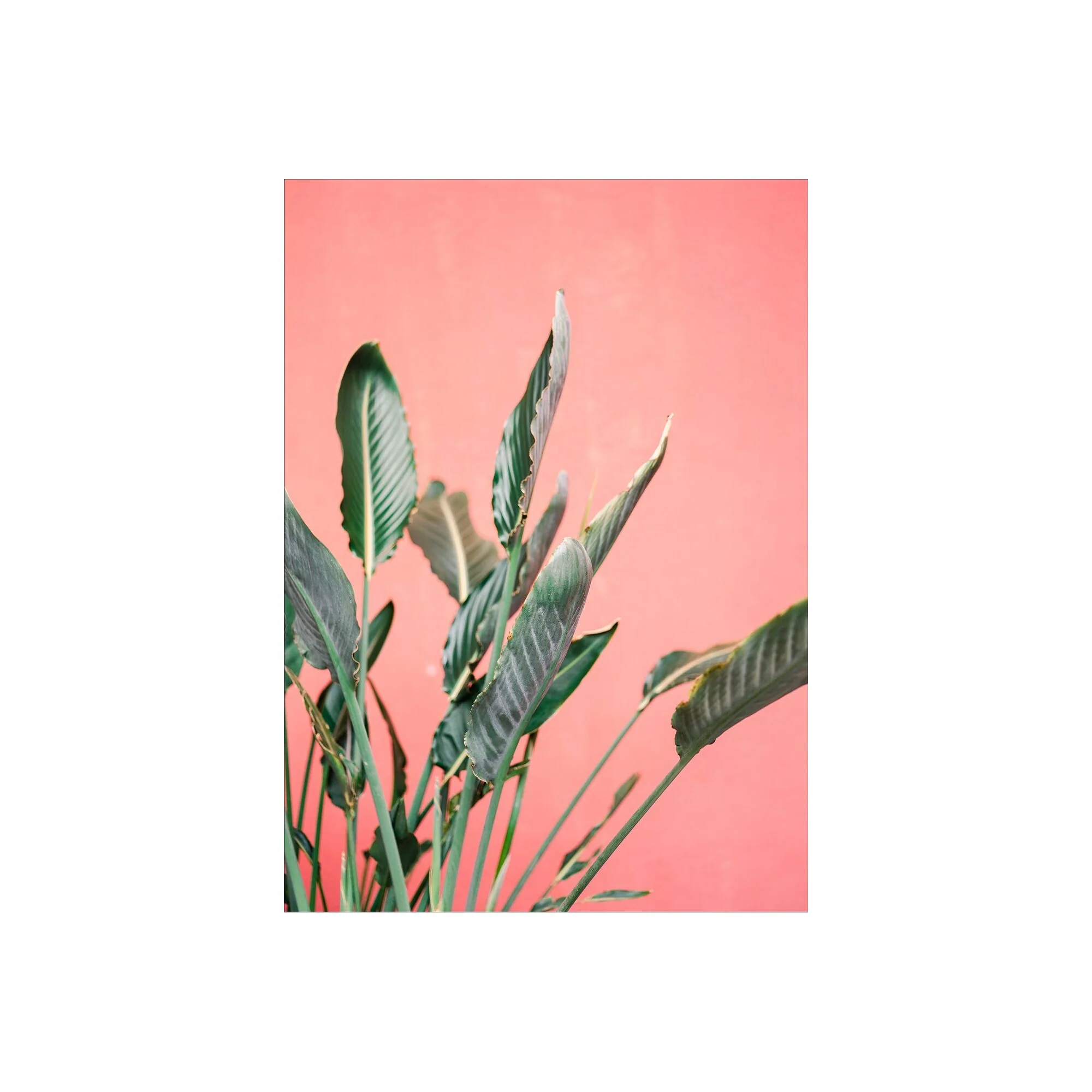 Raisa Zwart - South Of Spain 7 - Image 3