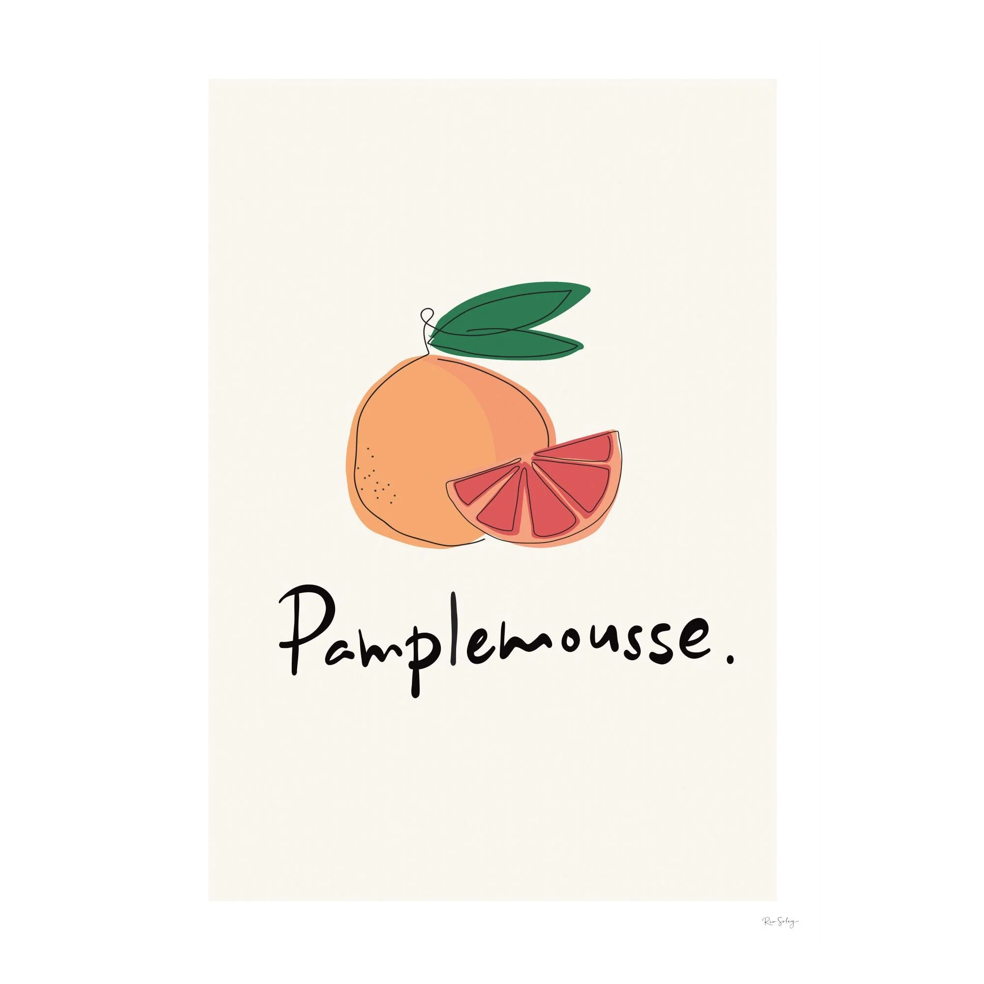 Rio Soléy - Les Fruits - Pamplemousse - Image 2