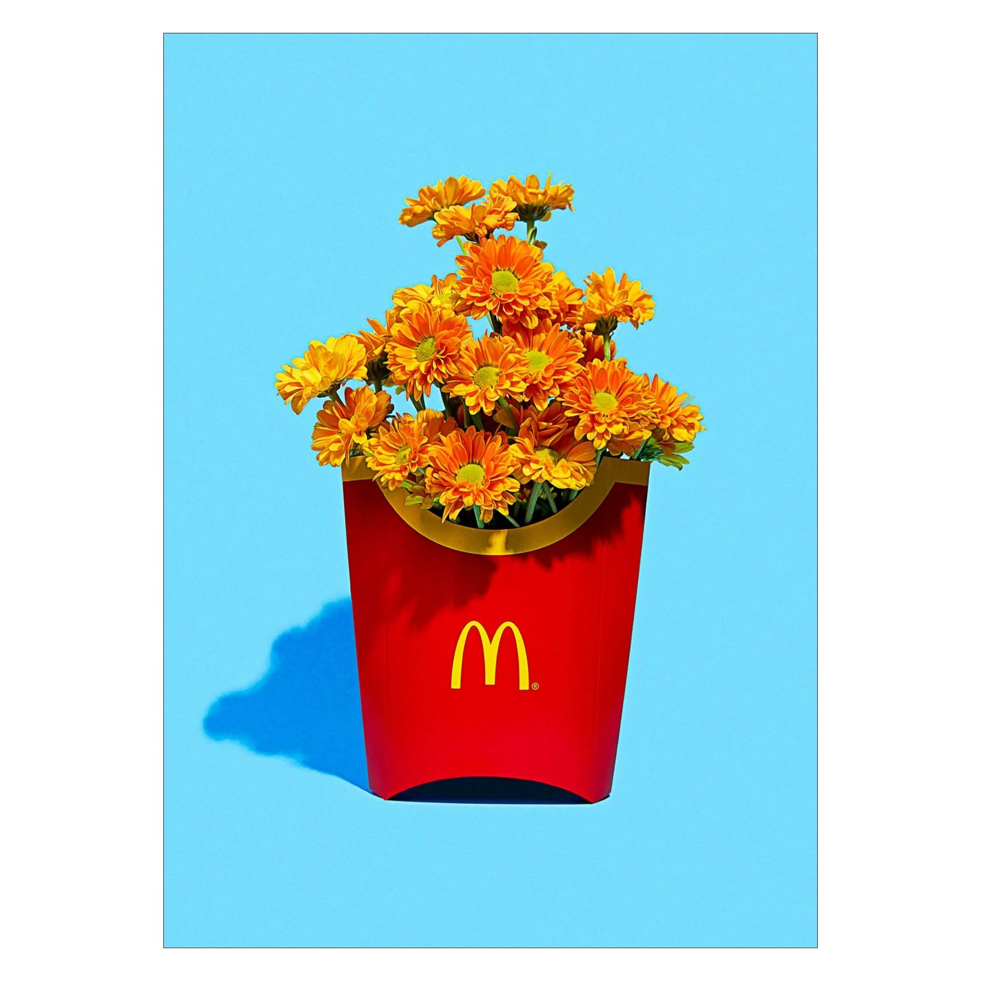 Supermercat - Flower Fries - Image 3