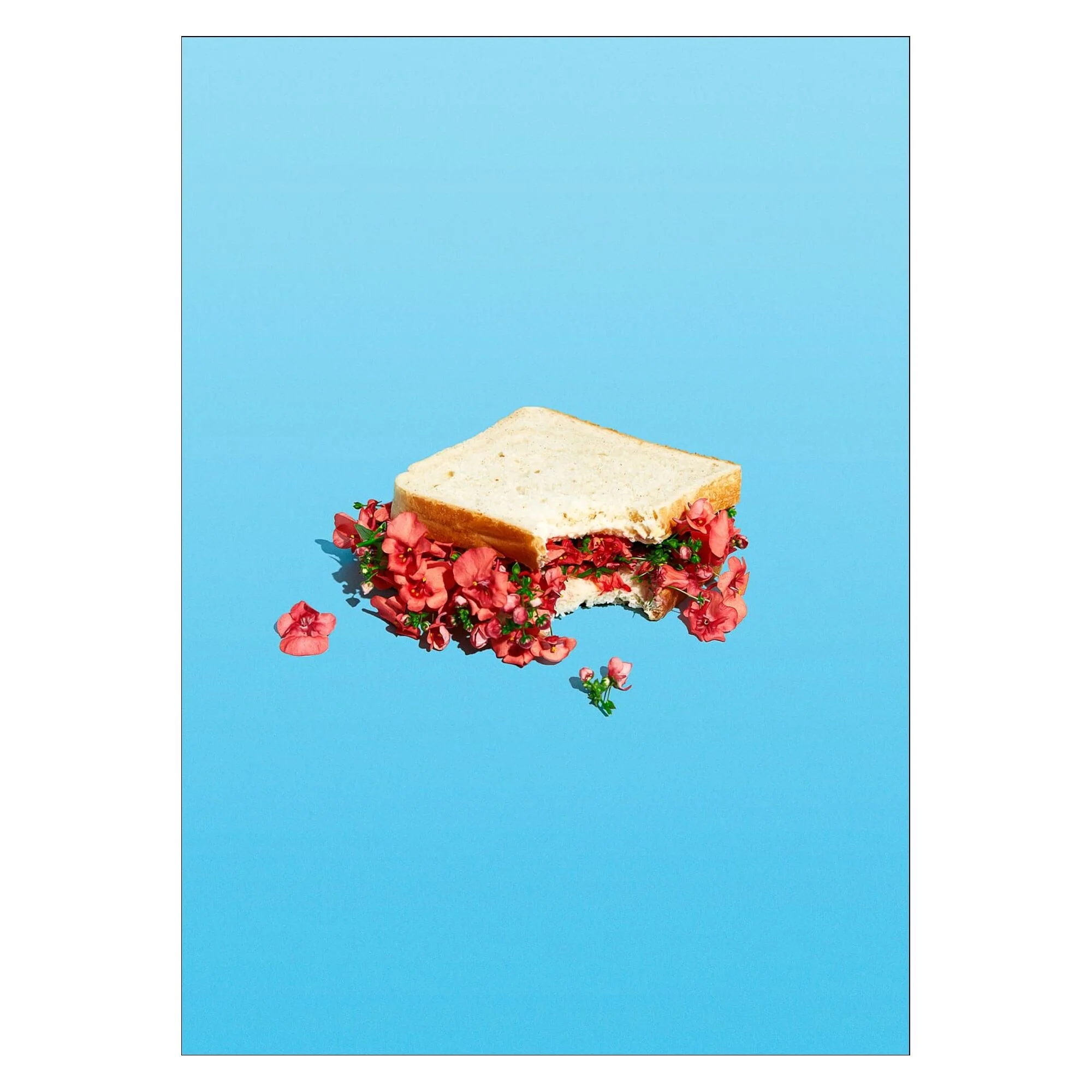 Supermercat - Flower Sandwich - Image 3