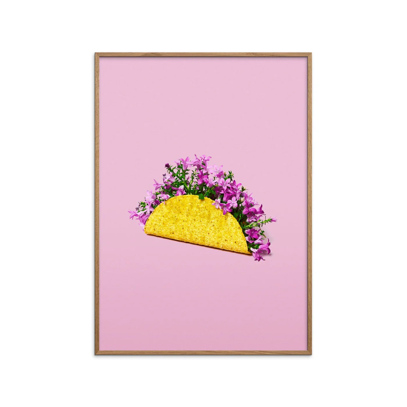 Supermercat - Flower Taco - Image 2