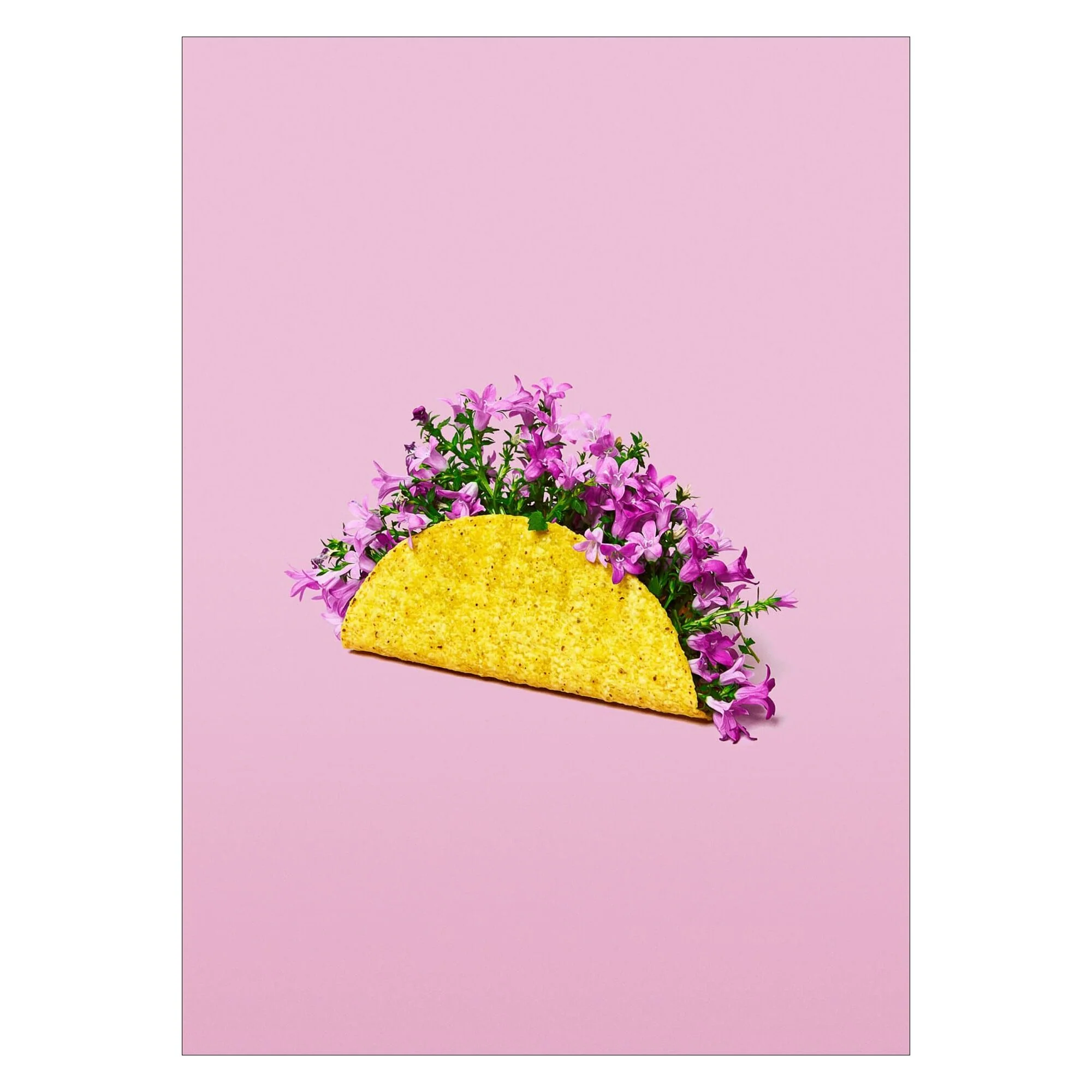 Supermercat - Flower Taco - Image 3