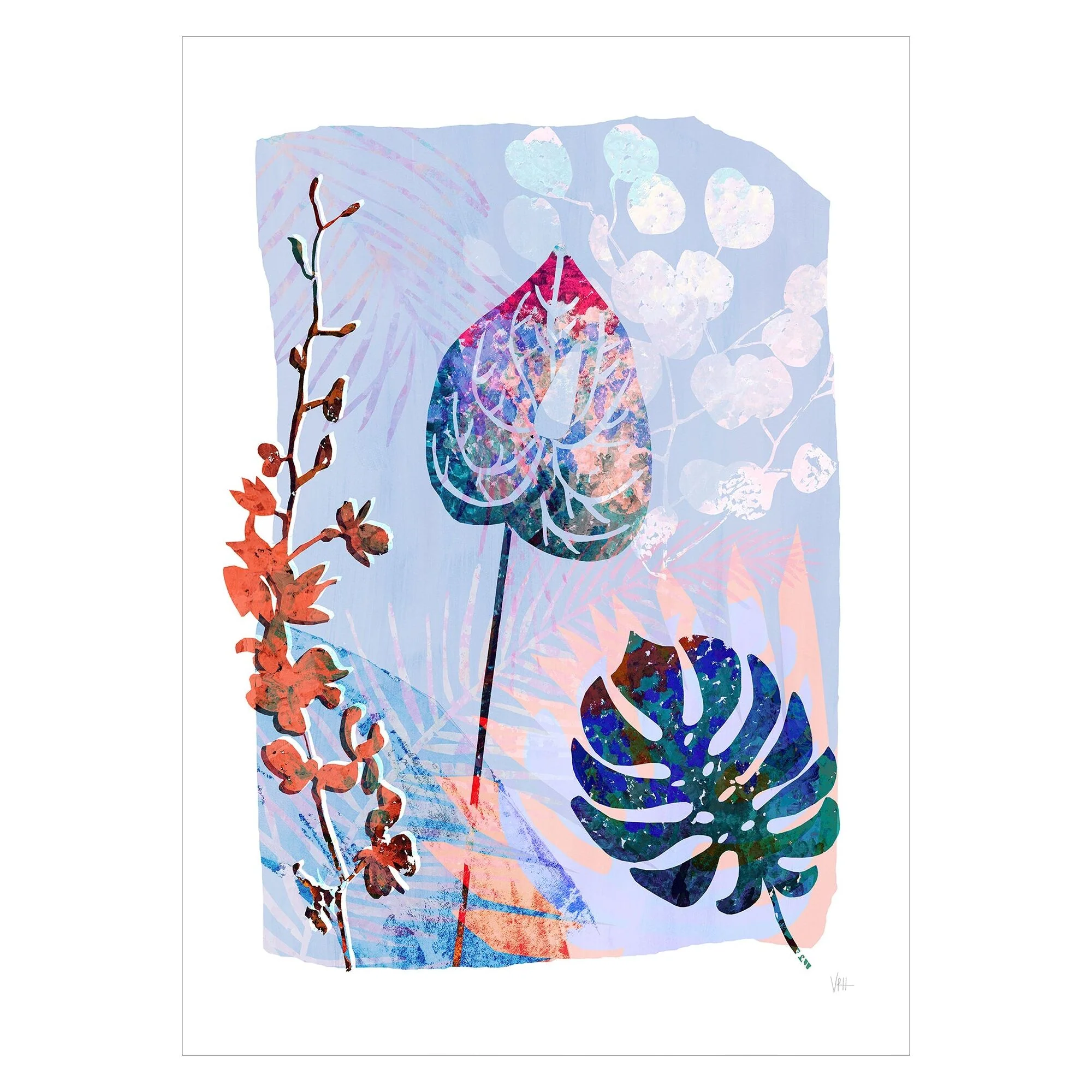 Violets Print House - Frigus Aestate - Image 2