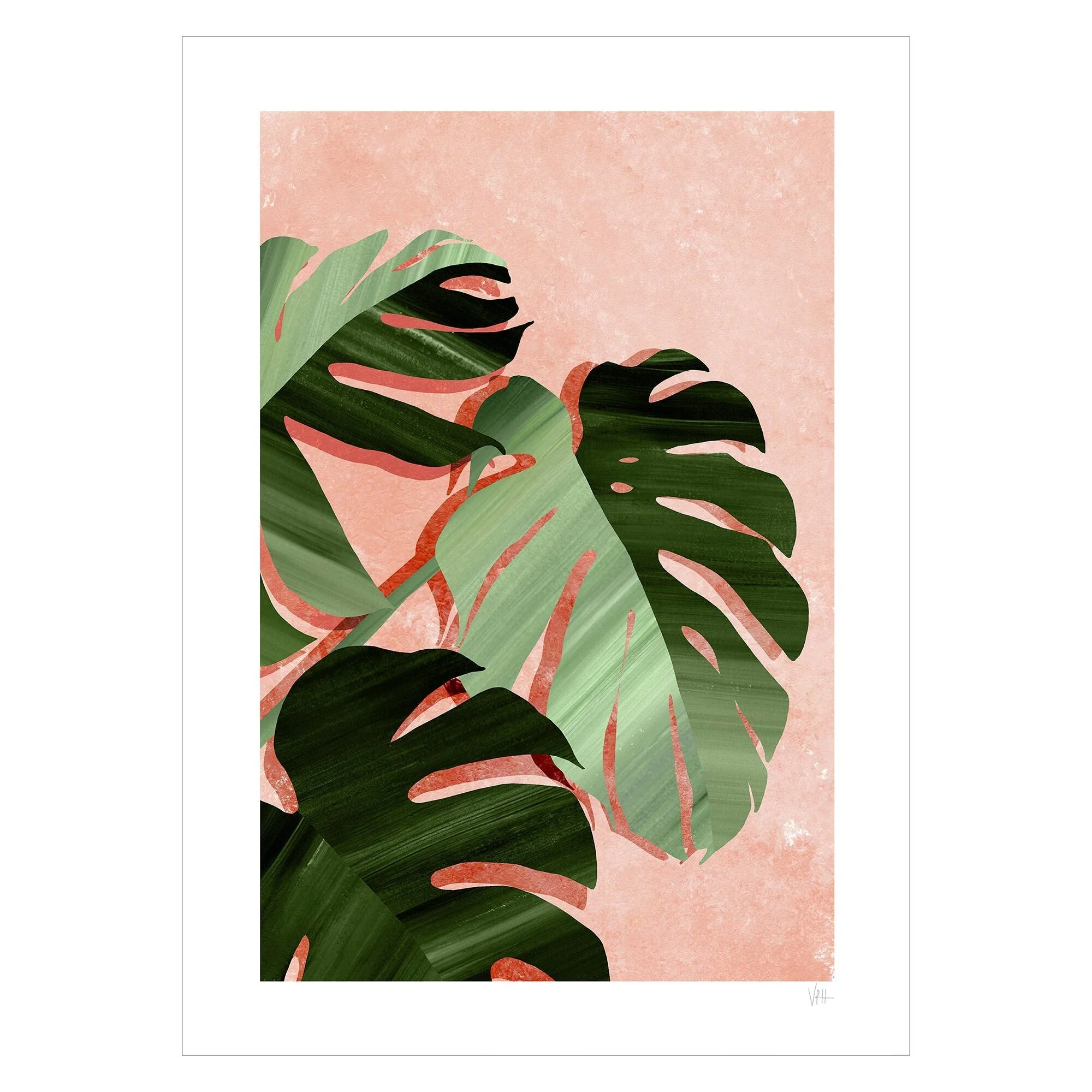 Violets Print House - Monstera Leaves - Image 2