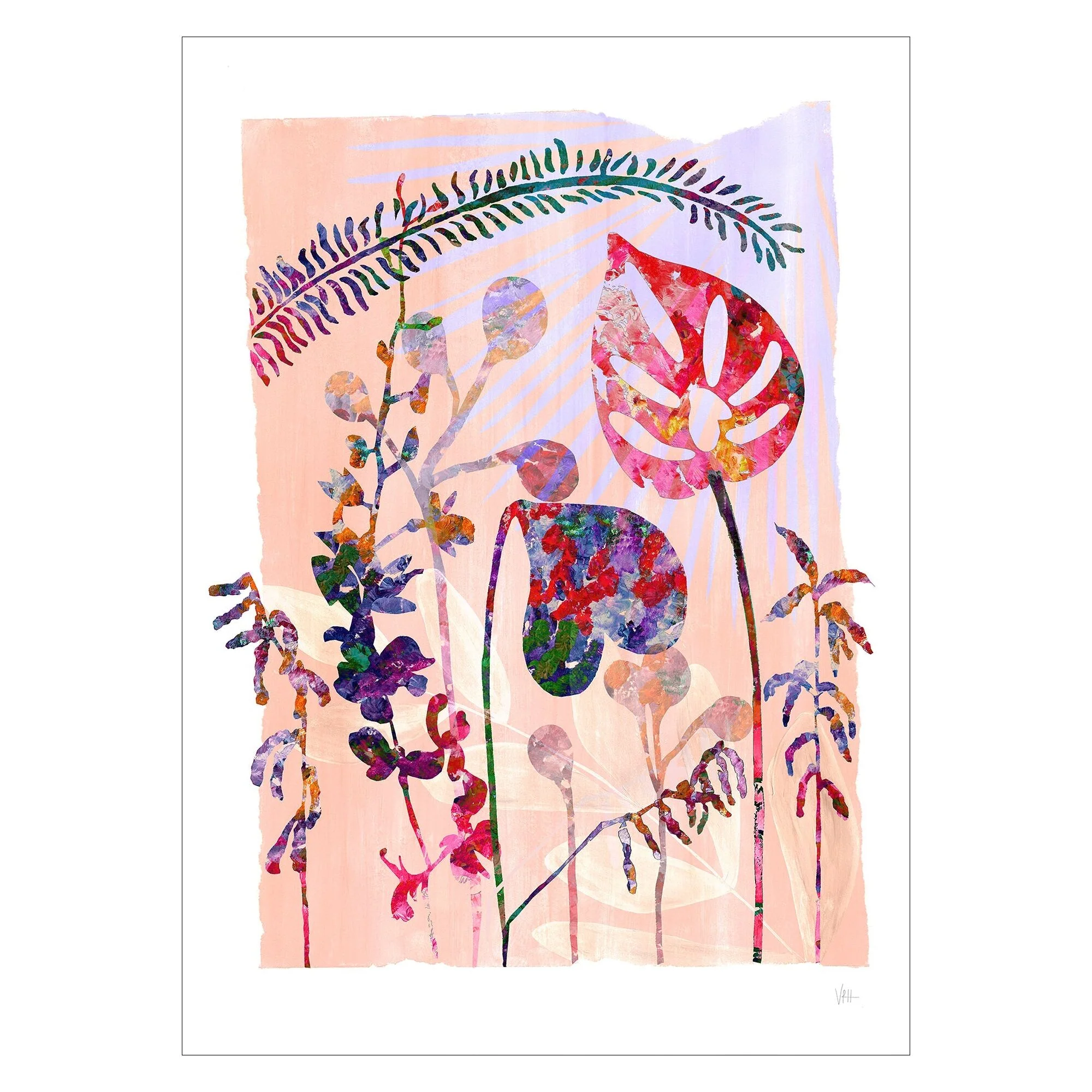 Violets Print House - O Florum - Image 2