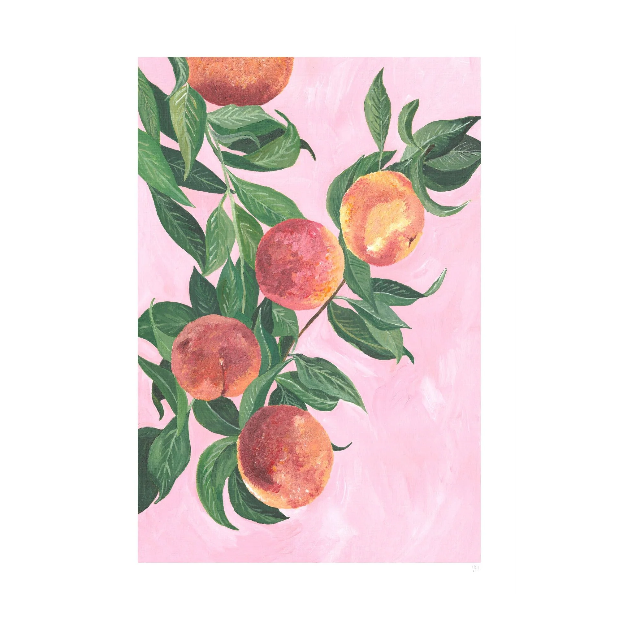Violets Print House - Peaches - Image 2