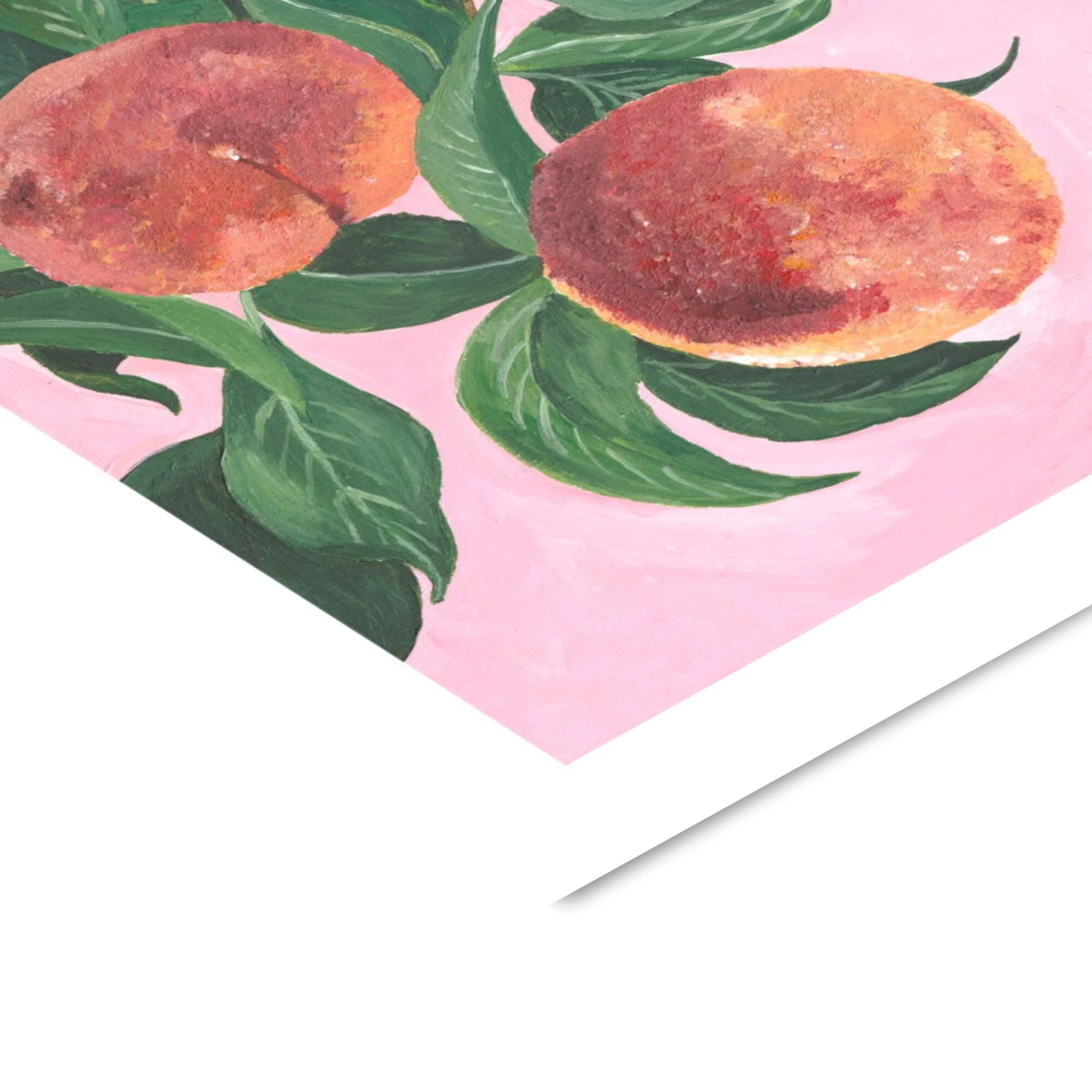 Violets Print House - Peaches - Image 3