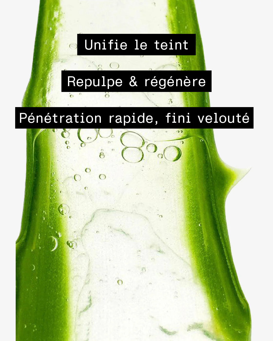 Sérum Régénérant & Anti-Âge Bio - Image 3