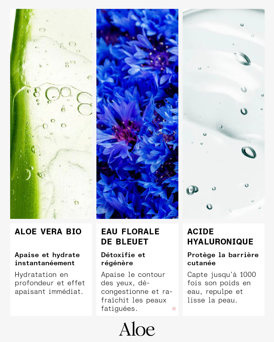 Sérum Régénérant & Anti-Âge Bio - Image 6