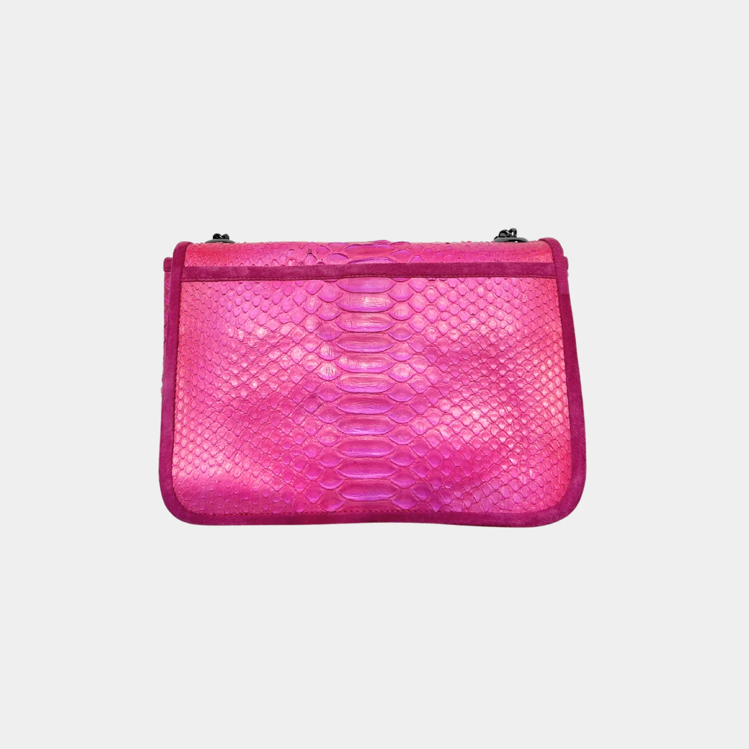 Sac Python - Theresa Cherry - Image 2