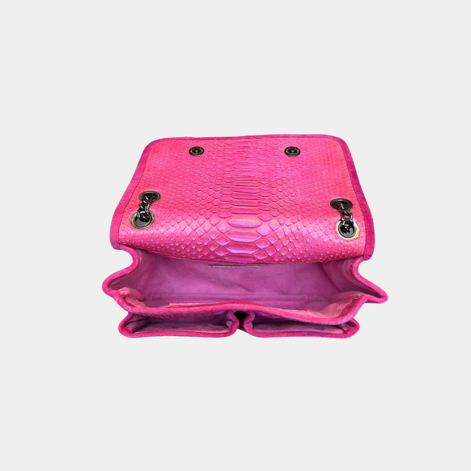 Sac Python - Theresa Cherry - Image 3