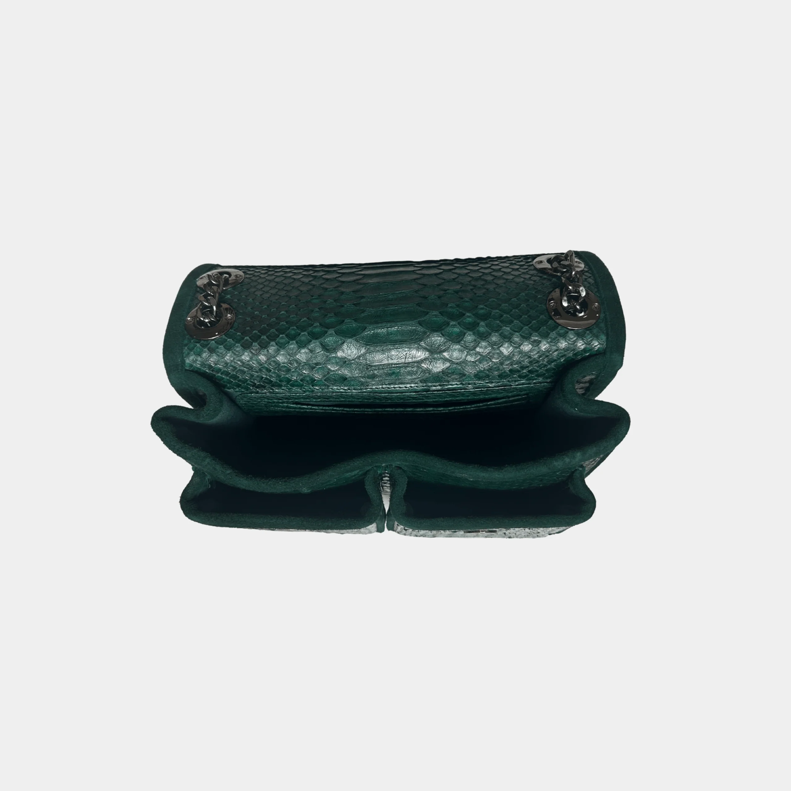 Sac Python - Theresa Green - Image 3