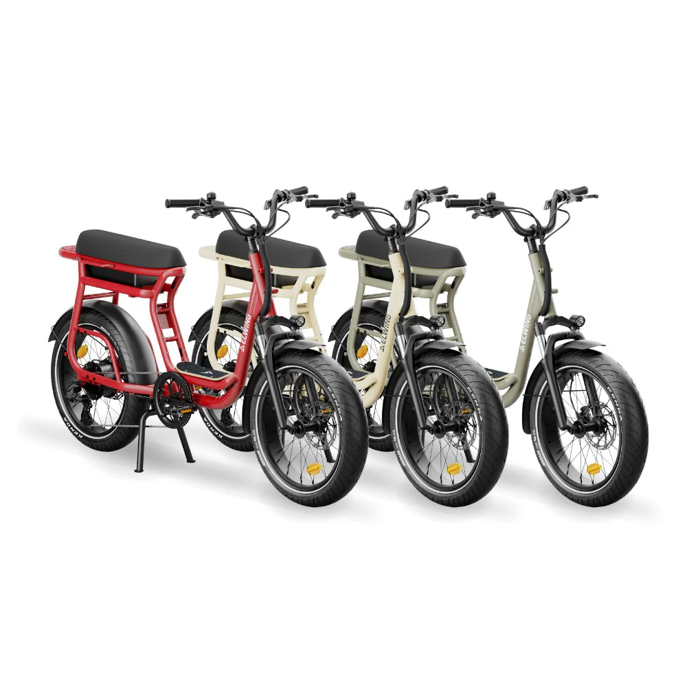 Yuvy 2 - Vélo Électrique Biplace Cargo Compact - Image 10